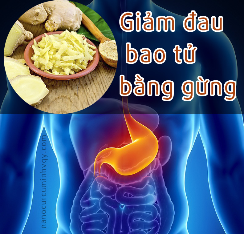 Cách giảm đau bao tử tại nhà bằng gừng